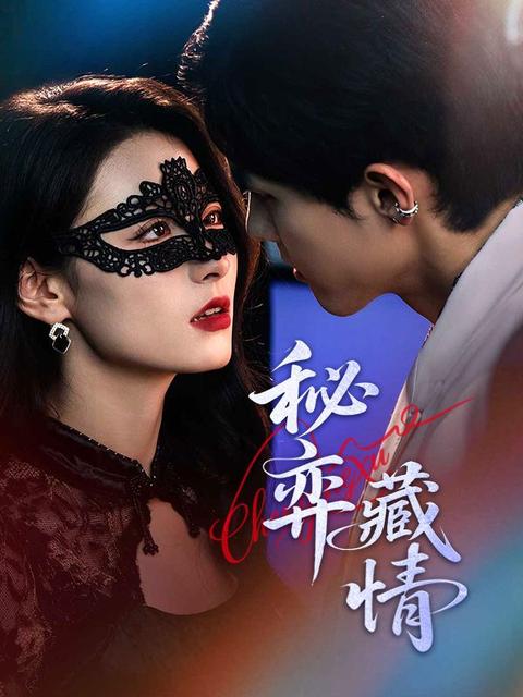 秘弈藏情